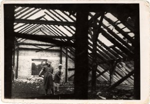 Zbirka: Milena vigelj