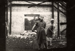 Zbirka: Milena vigelj