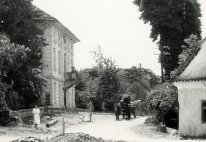 Stareslike cervek 2-1