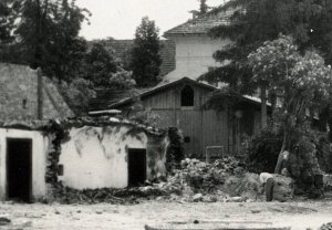 Stareslike cervek 2-2