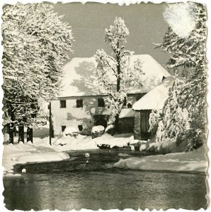 100809-Gogala Pogačnikova žaga