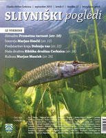 Screenshot-2015-11-03-21.44.23