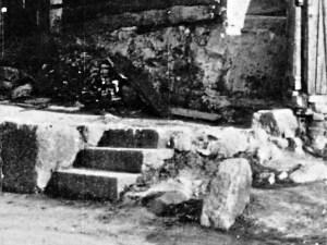 130306 janja al denzic-002