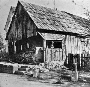 130306 janja al denzic