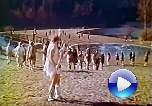 screenshot-2017-01-13-10-06-30